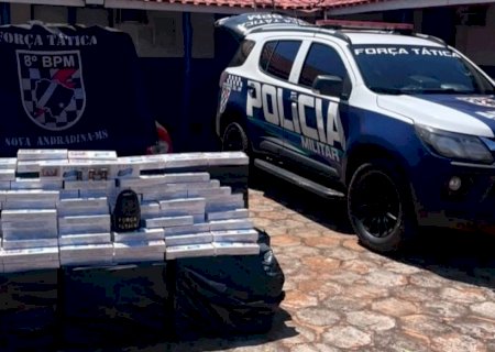 Polícia apreende cerca de 755 pacotes de cigarros durante ação>
