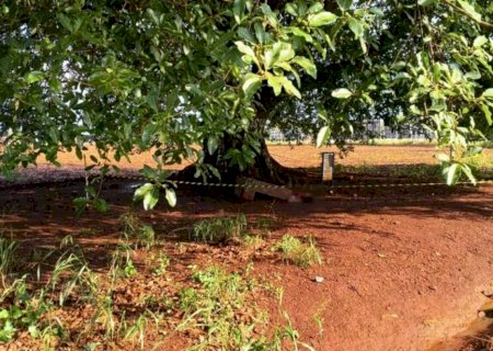 Homem é encontrado morto sob figueira em Dourados>
