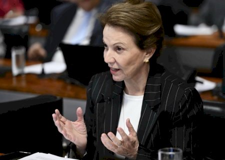 Justiça determina exclusão de vídeo que pede para eleitores não votarem em candidatos apoiados por Tereza Cristina>