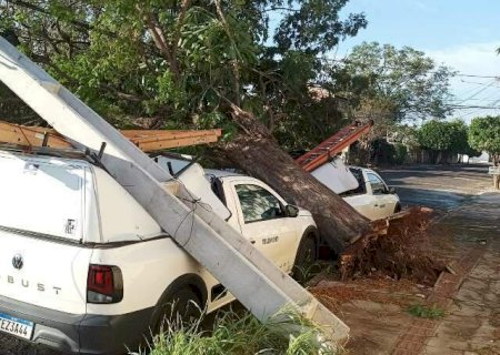 MS ter&aacute; tr&ecirc;s dias de alerta para tempestades e ventos podem chegar a 100 km/h>