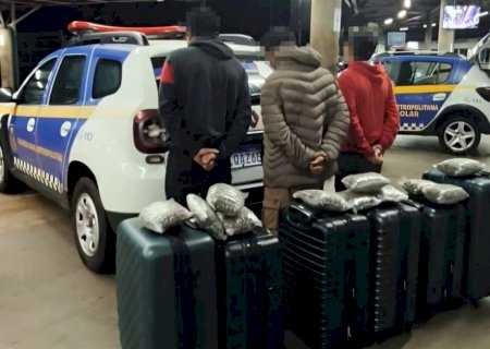 Malas com destino a Curitiba têm mais de 90 kg de maconha apreendidos