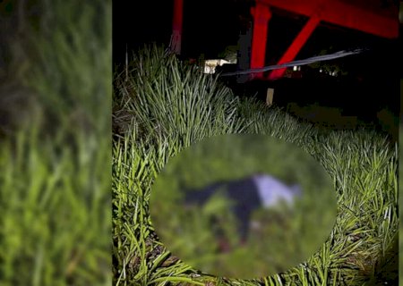 Tentativa de furto de cabos termina com homem morto eletrocutado na BR-158>