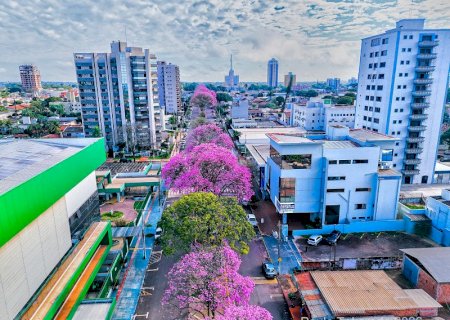 Aos 49 anos, MS se aproxima de 3 milhões de habitantes>