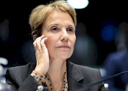 Tereza diz que é hora de serenidade e respeito ao resultado das urnas: ‘a eleição acabou’>